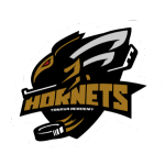 https://trnavahornets.sk/wp-content/uploads/2025/04/Trnava-Hornets.png