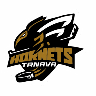 https://trnavahornets.sk/wp-content/uploads/2025/11/HORNETS_TRNAVA_logo-320x320.png